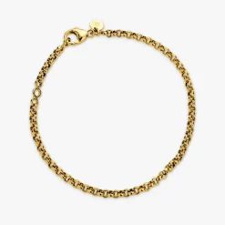 Hot Arthus Bertrand Bracelet Jaseron