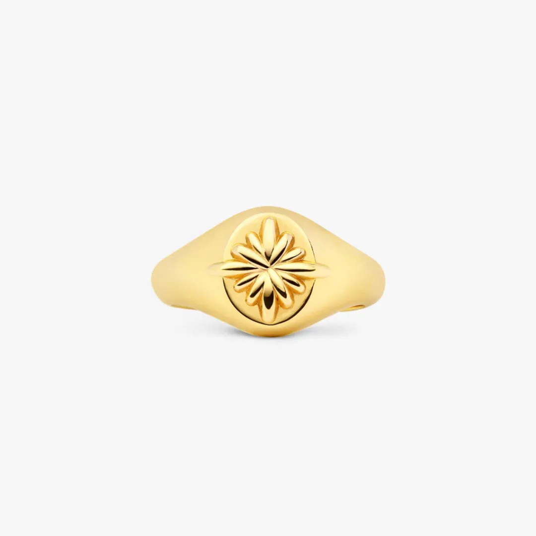 Best Arthus Bertrand Chevalière Petit Doigt Stella